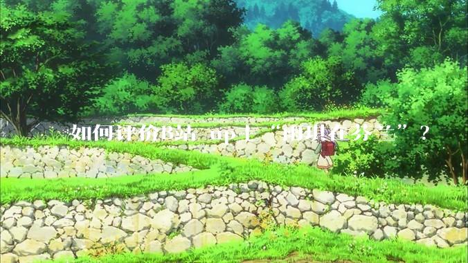 如何评价B站 up主“雨琪在芬兰”？