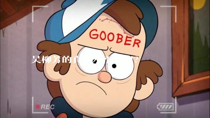 吴柳芳的真实水平如何？