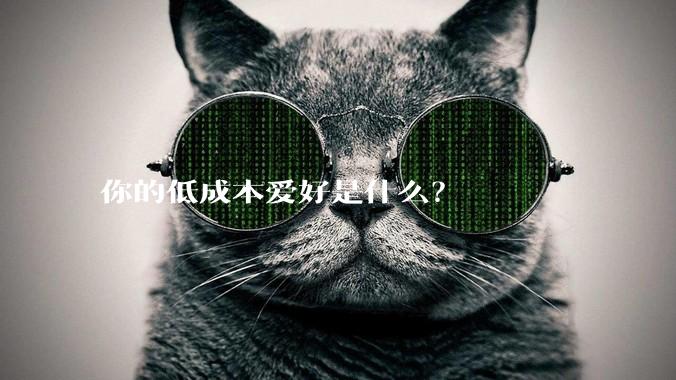 你的低成本爱好是什么？