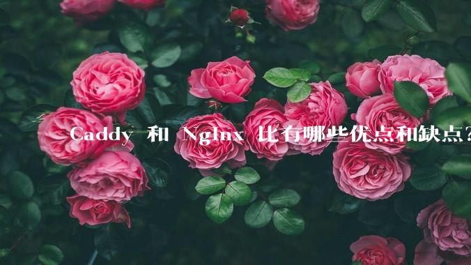 Caddy 和 Nginx 比有哪些优点和缺点？