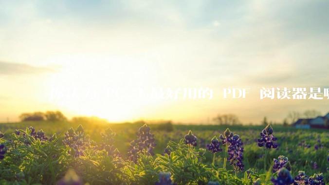 你认为 PC 上最好用的 PDF 阅读器是哪一种？