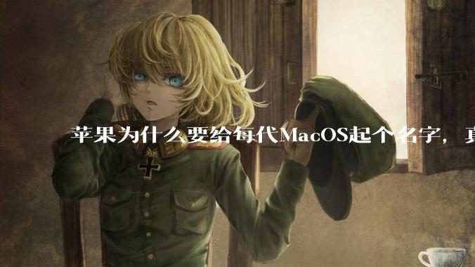 苹果为什么要给每代MacOS起个名字，真以为人们记得住分得清吗？
