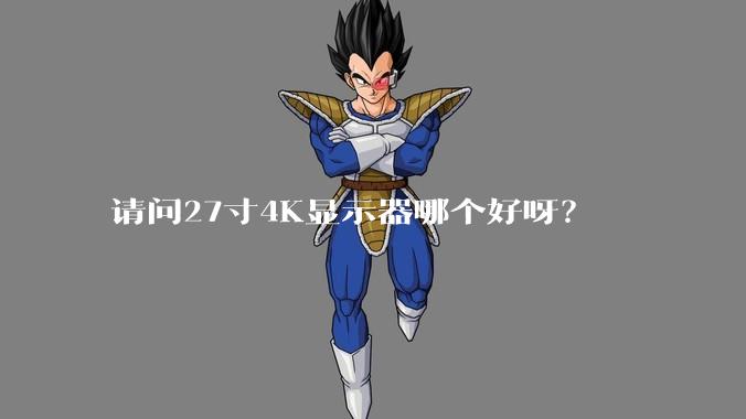 请问27寸4K显示器哪个好呀？