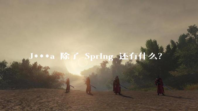 J***a 除了 Spring 还有什么?