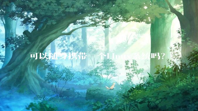 可以随身携带一个Linux系统吗？