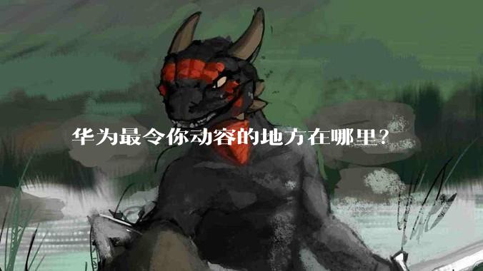 华为最令你动容的地方在哪里？