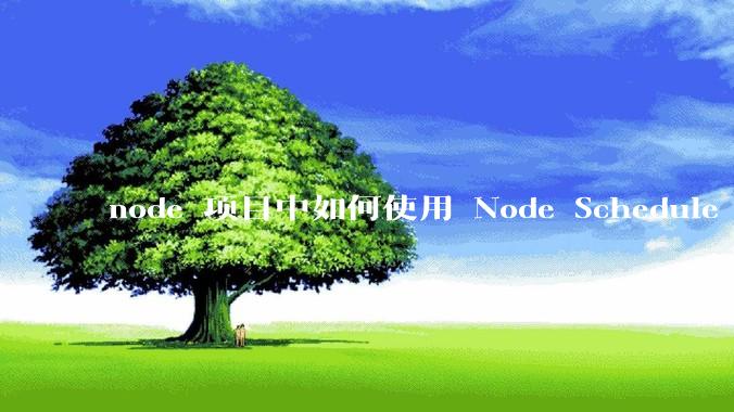 node 项目中如何使用 Node Schedule 创建定时任务？