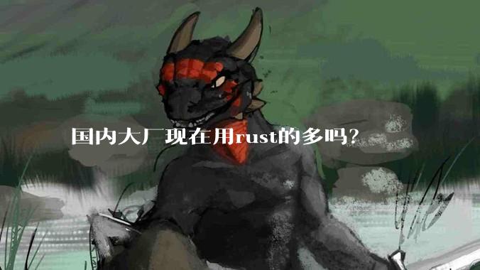 国内大厂现在用rust的多吗？